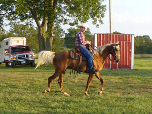 champs1sthorseshow001a.jpg