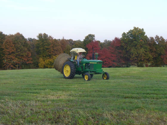 fallcolors101010.jpg